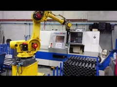 التعامل مع مناور الروبوت الصناعي حمولة كبيرة FANUC M-900iA / 260L